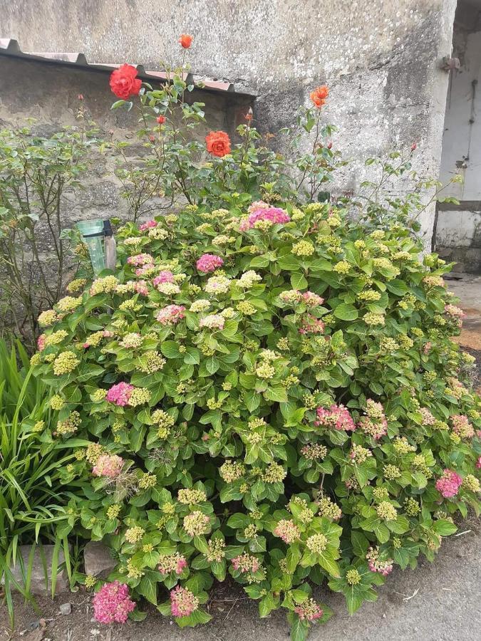 Au Bocage Parfume Gite La Cigaline Wirwignes 외부 사진